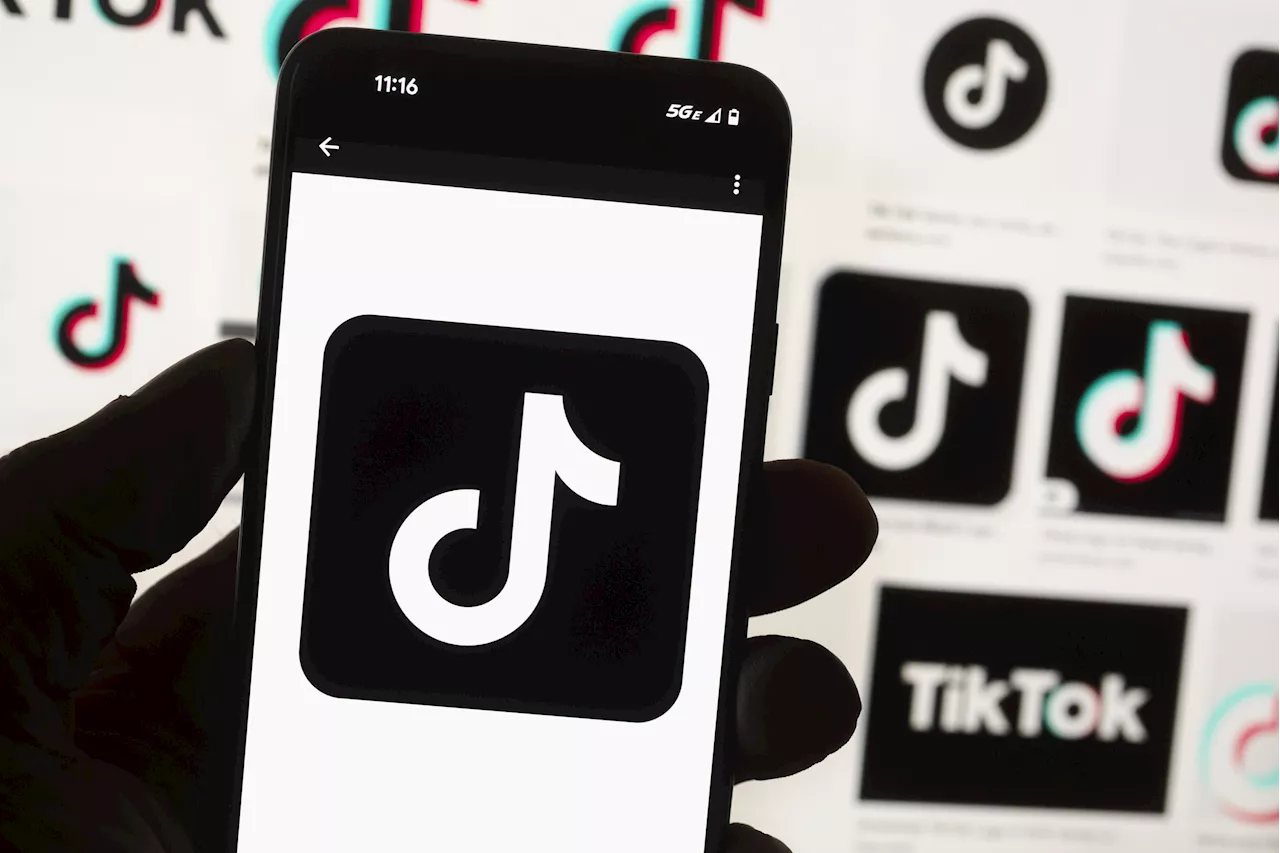 TikTok Gets Shut Down in European Country: 'Taking Our Children Hostage'