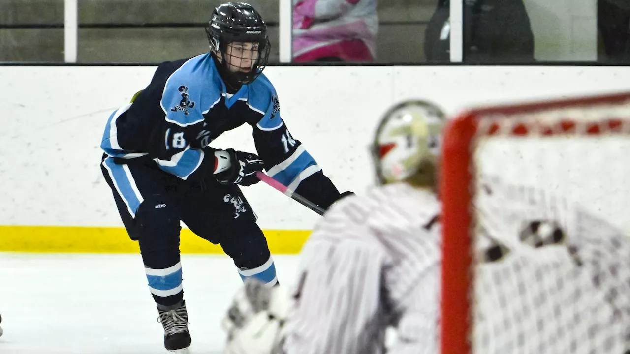 Boys hockey photos: Johnson at Bayonne, Friday, Dec. 20