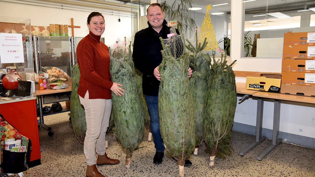 Ternitzer Stadtchef spendet zehn Christbäume an Sozialmarkt