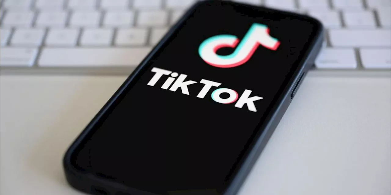 Albanien will Zugang zu Tiktok f&uuml;r ein Jahr sperren