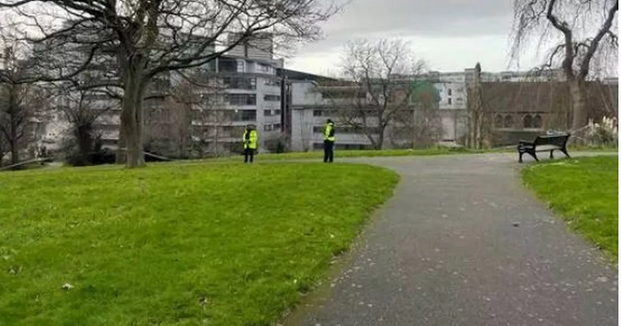 Police search for 2 key witnesses after serious sexual assault in park