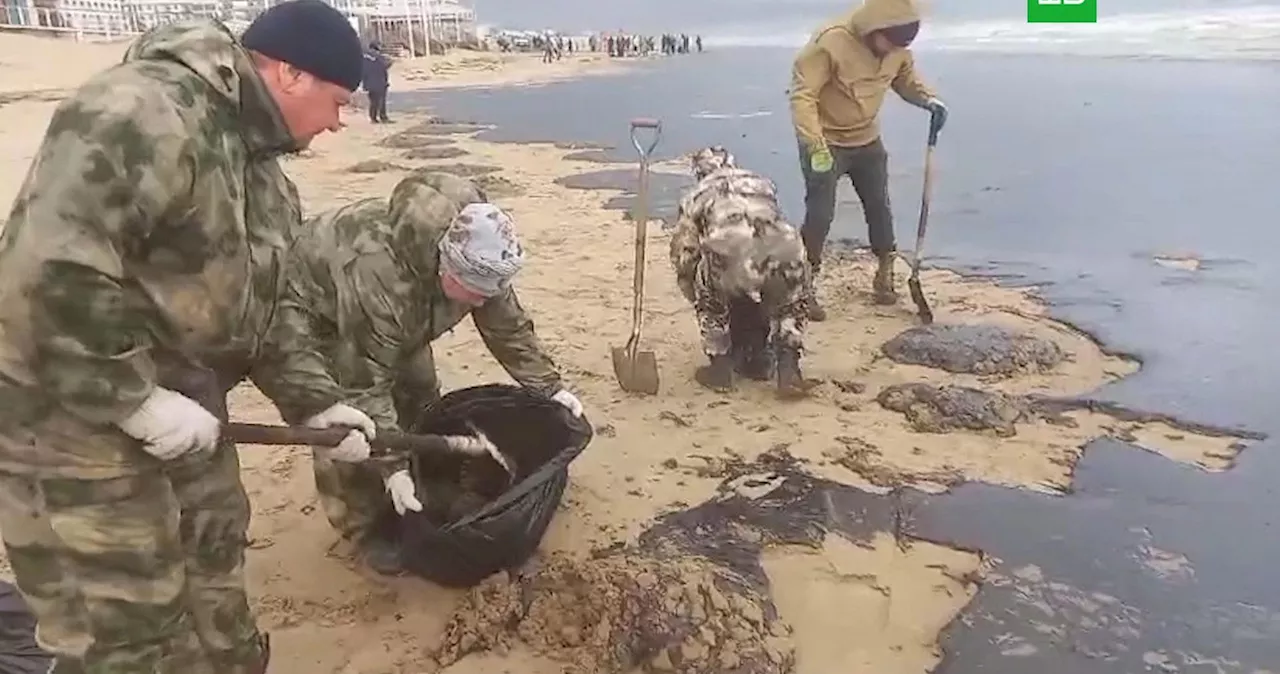 Власти: сбор мазута на пляжах Кубани займет около месяца