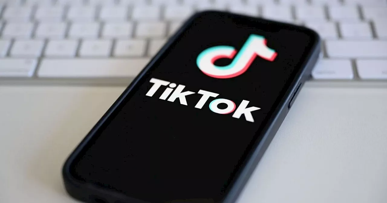 Albanien will Zugang zu Tiktok für ein Jahr sperren