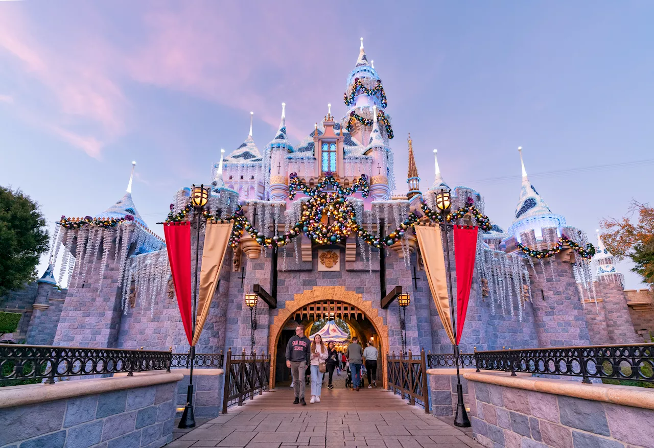 This $7.49 Disneyland item is so popular sales are restricted to 5 per person — but clever tourists are finding loopholes