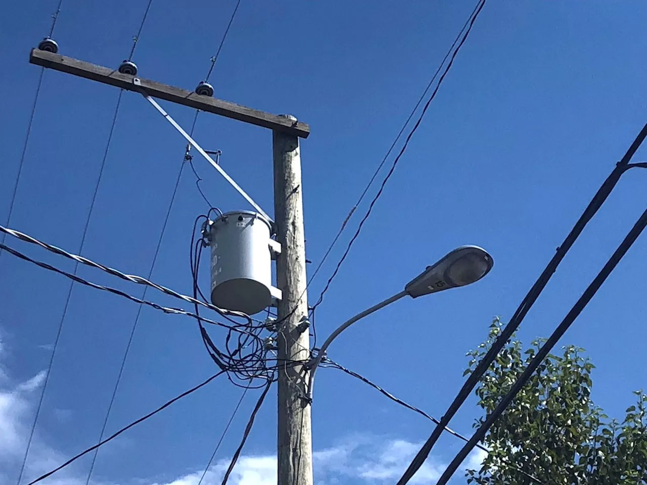 Brothers lose lawsuit against BC Hydro over power pole replacement