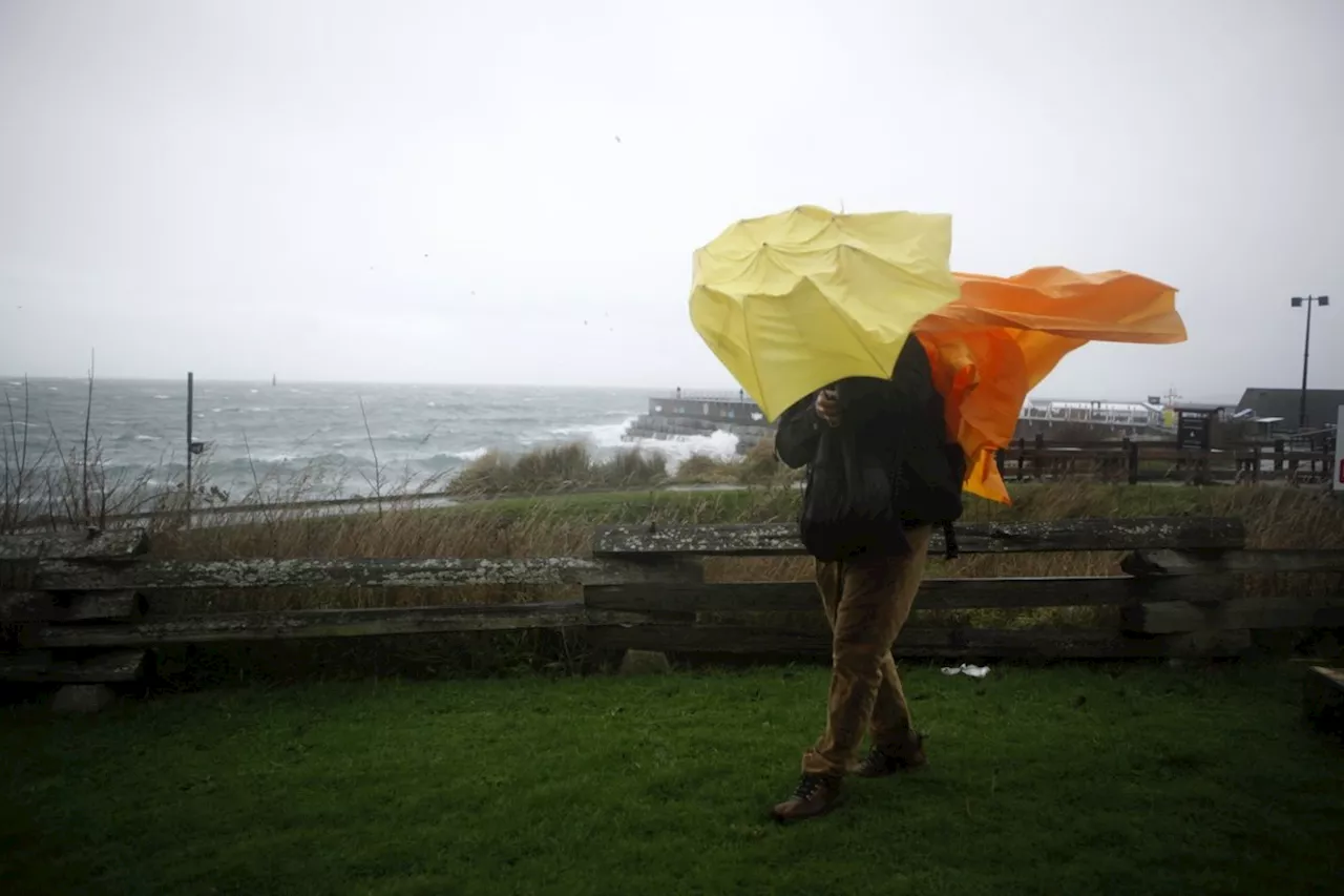 Environment Canada issues warnings as more high winds expected along B.C. coast