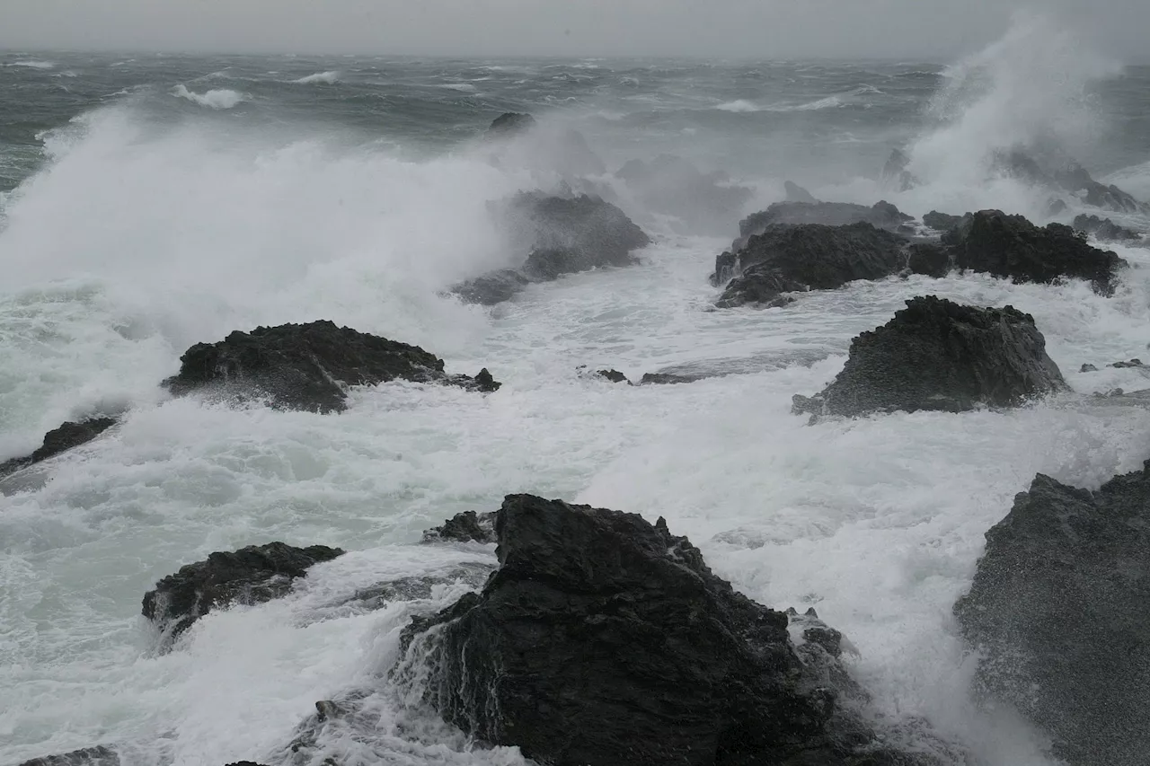 Météo en France : trois départements placés en vigilance orange aux vents violents dimanche