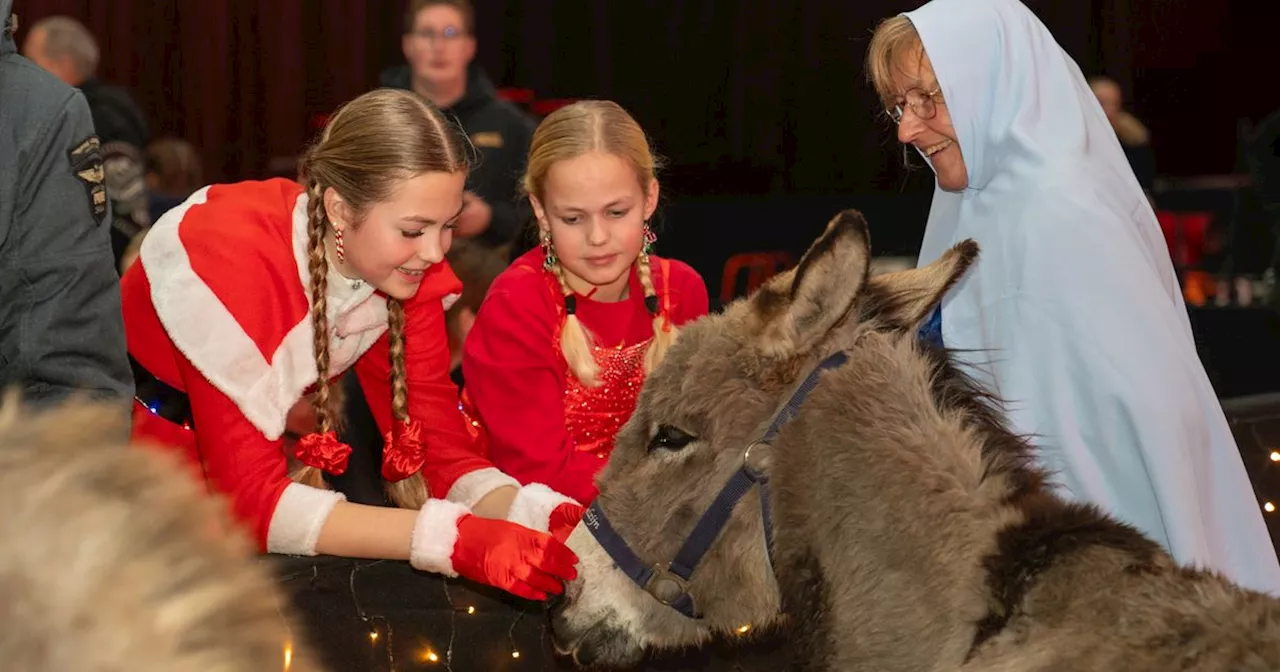 Kerstshow in Exloo klapstuk na bomvol jaar voor Hippisch Centrum