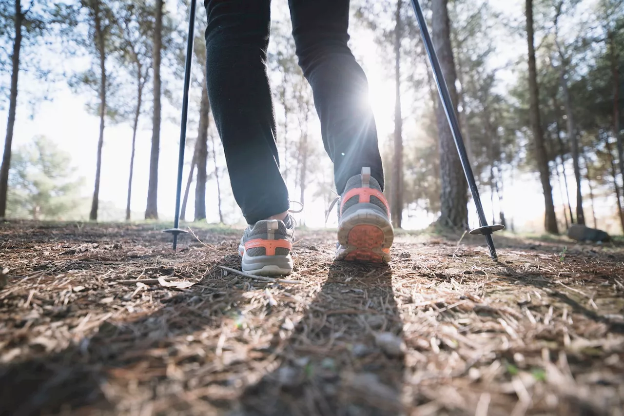 Dia do Atleta: cinco maneiras de tornar suas caminhadas diárias ainda mais proveitosas