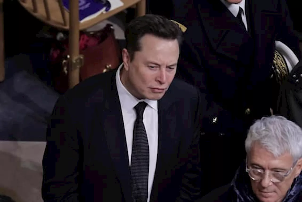 Elon Musk: 'Solo l'AfD può salvare la Germania'