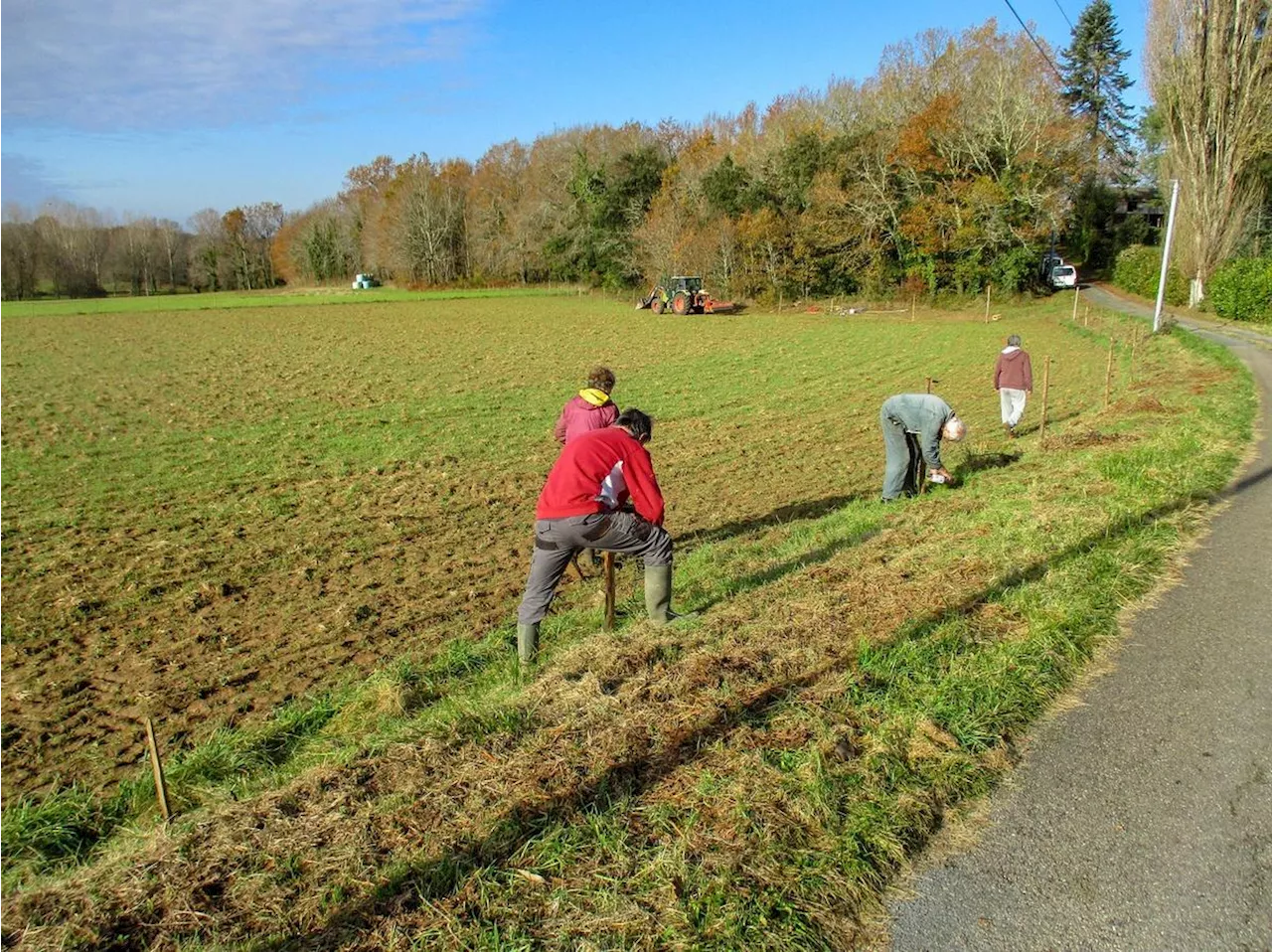 Prats-de-Carlux : un verger communal de 5 000 m² prévu pour début 2025