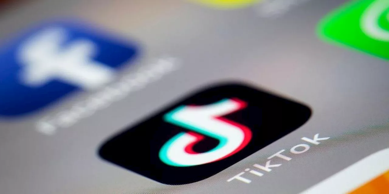 Réseaux sociaux : l’Albanie va fermer TikTok pendant au moins un an