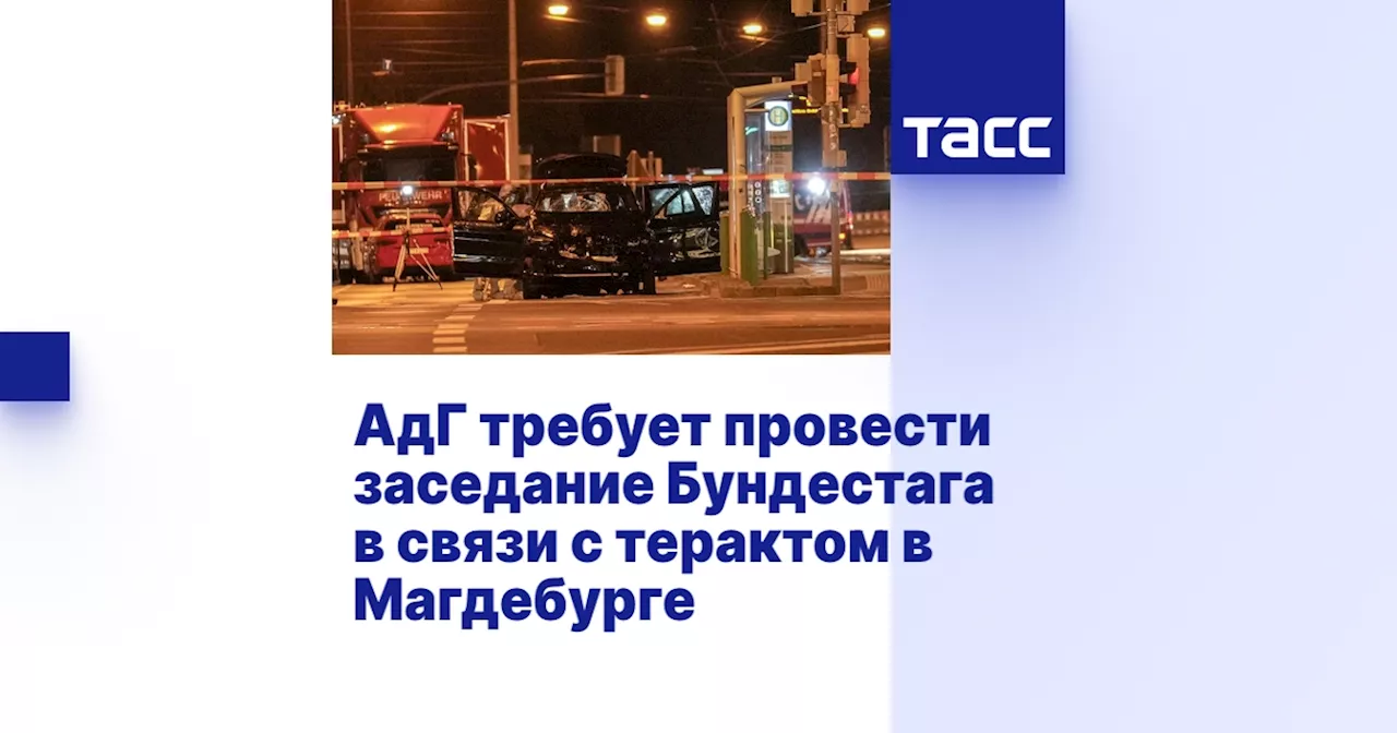 АдГ требует провести заседание Бундестага в связи с терактом в Магдебурге