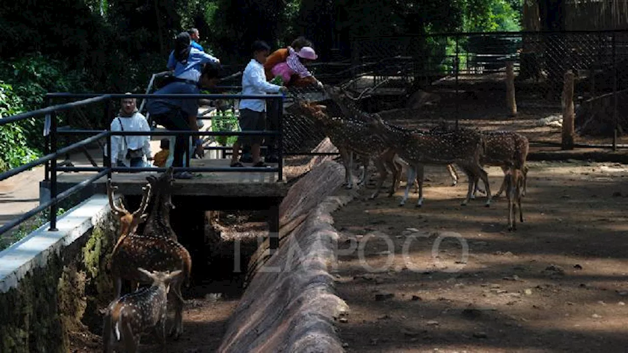 Prakiraan Cuaca Ahad di Destinasi Wisata Jawa Barat, Hujan Dimulai Sejak Siang