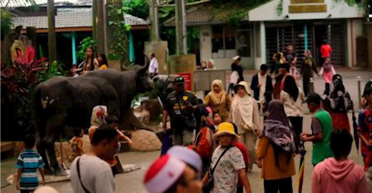 Lebih 580,000 Pengunjung Zoo Taiping Setakat 15 Disember