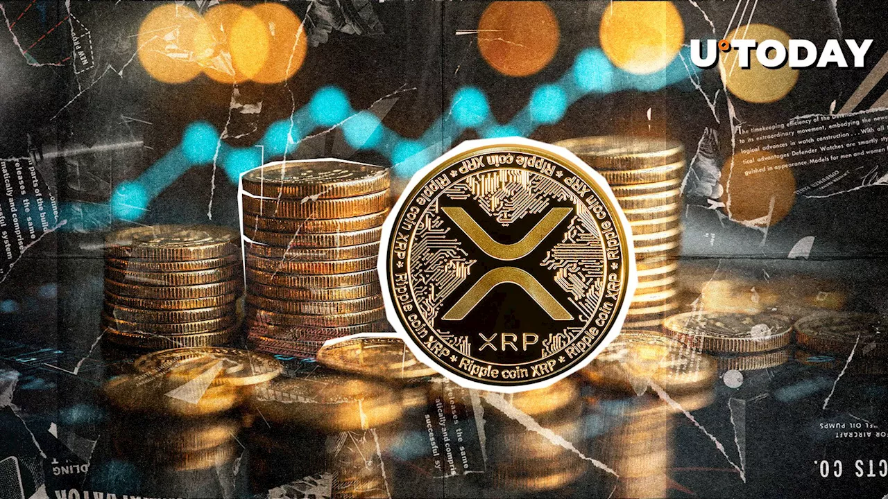 XRP Open Interest Sees Positive Shift in 1 Hour, Here's Likely Impact