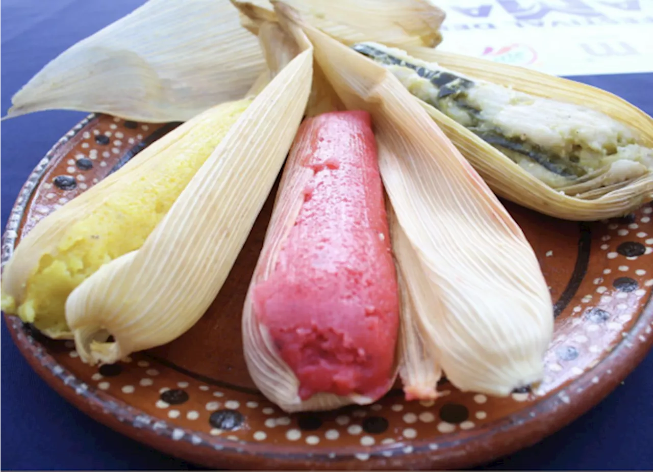 ¡Descubre las mejores recetas de tamales para sorprender a todos!