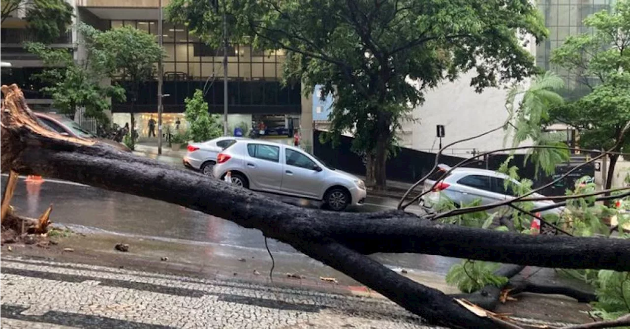 Novo temporal causa alagamentos em SP; 163 mil clientes estão sem energia