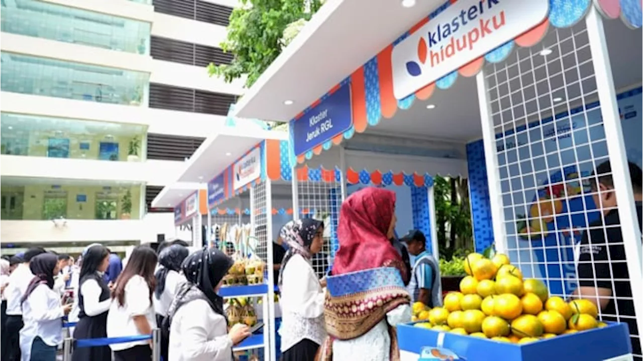 Kelompok Petani Jeruk di Curup Bengkulu Jangkau Pasar Lebih Luas Berkat Pemberdayaan BRI