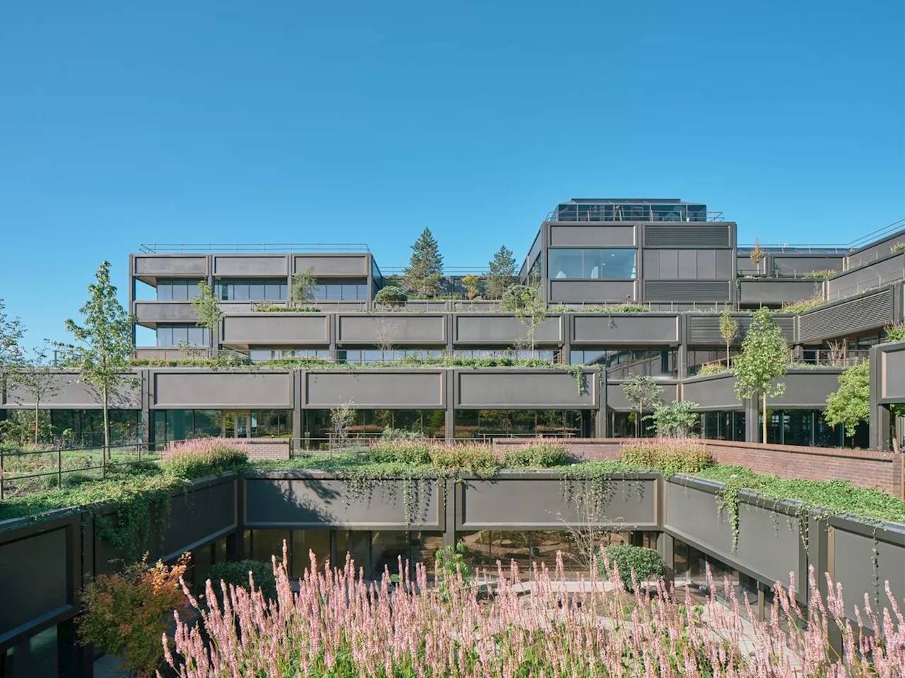 A brutalist garden revived: the case of the Mountbatten House grounds by Studio Knight Stokoe