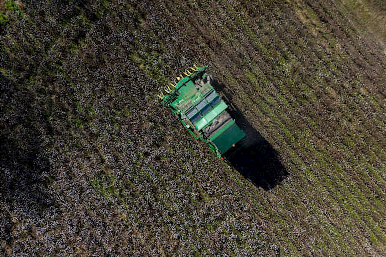 Farmers are still reeling months after Hurricane Helene ravaged crops across the South