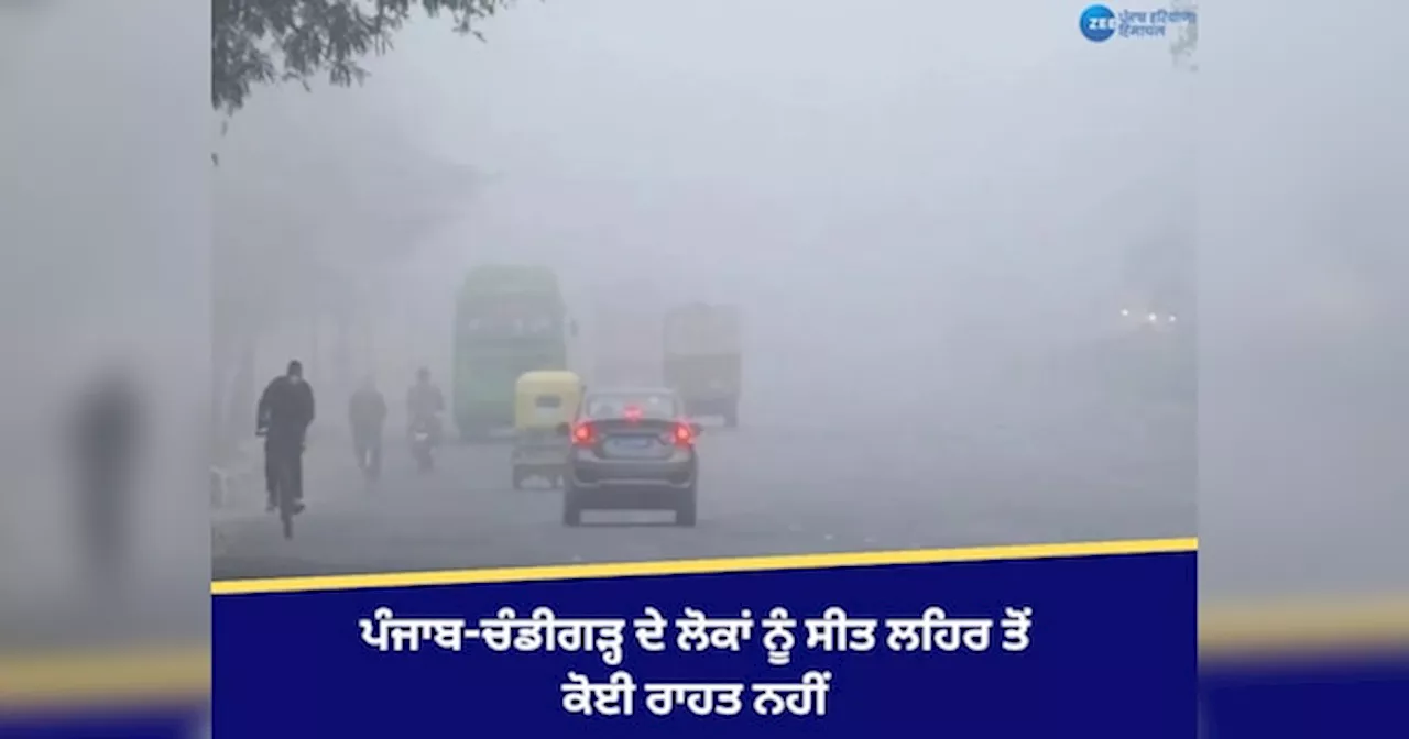 Punjab Weather Update: ਪੰਜਾਬ-ਚੰਡੀਗੜ੍ਹ ਚ ਸੀਤ ਲਹਿਰ ਦੀ ਚੇਤਾਵਨੀ! ਪਠਾਨਕੋਟ ਰਿਹਾ ਸਭ ਤੋਂ ਠੰਢਾ, ਜਾਣੋ ਆਪਣੇ ਸ਼ਹਿਰ ਦਾ ਹਾਲ