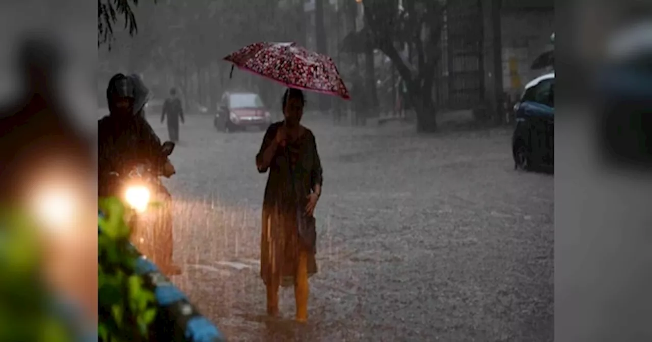 Rajasthan Weather Update: राजस्थान में मौसम का डबल अटैक! बारिश और शीतलहर को लेकर जारी हुआ अलर्ट