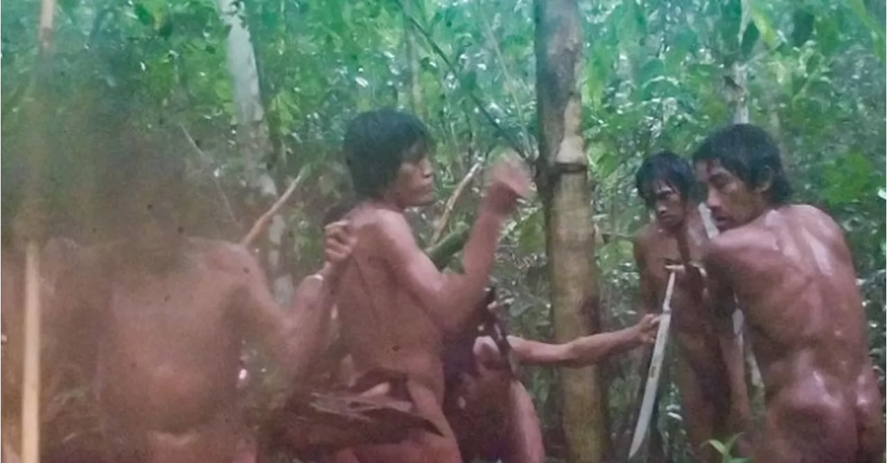 Pictures from automatic camera provide first look at uncontacted Amazon community