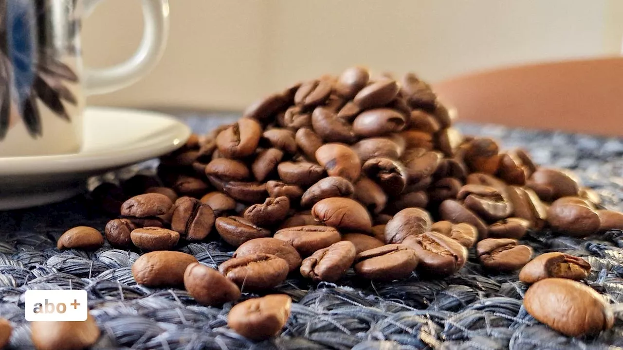 «Kaffee war bisher viel zu günstig»: Badener Röstereien äussern sich zum historischen Preishöchststand