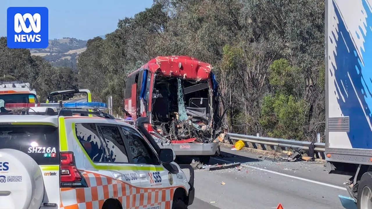 Seatbelts on buses comes under scrutiny after Hume Highway crash