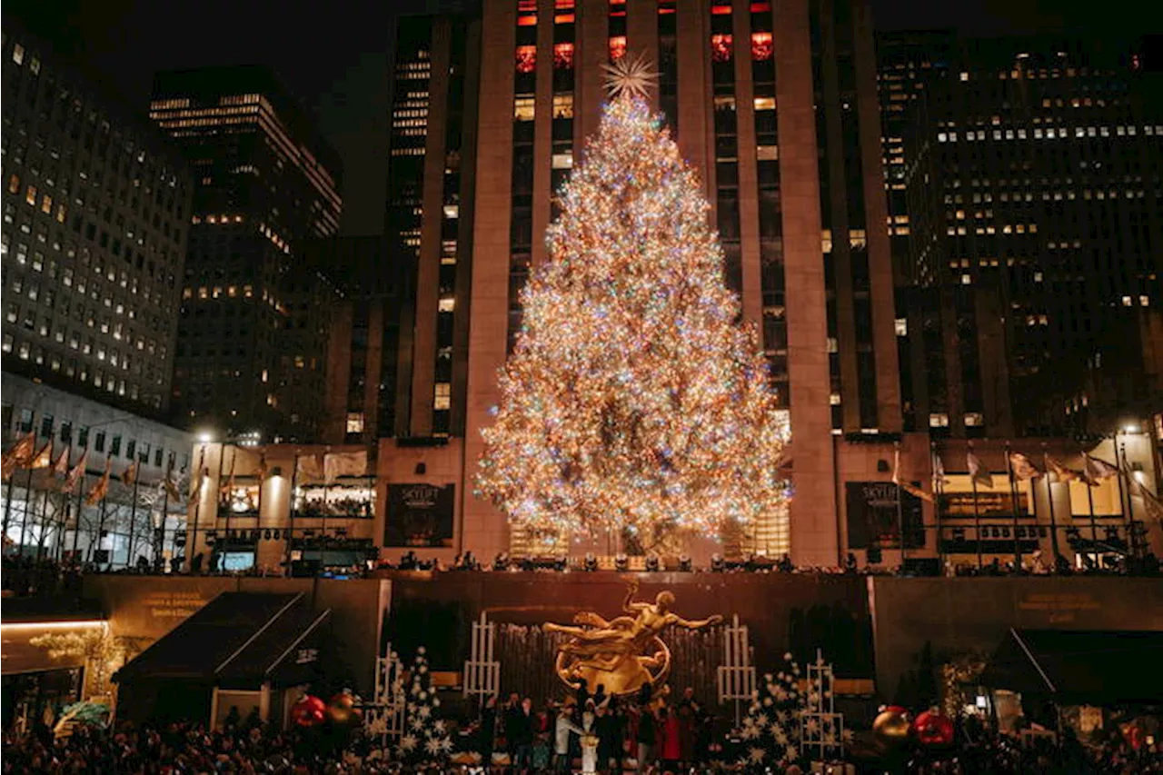 L'albero più bello del mondo ha cuore italiano