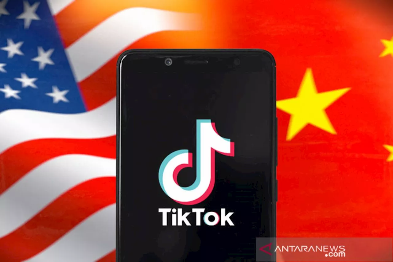 Albania blokir TikTok selama satu tahun pada 2025