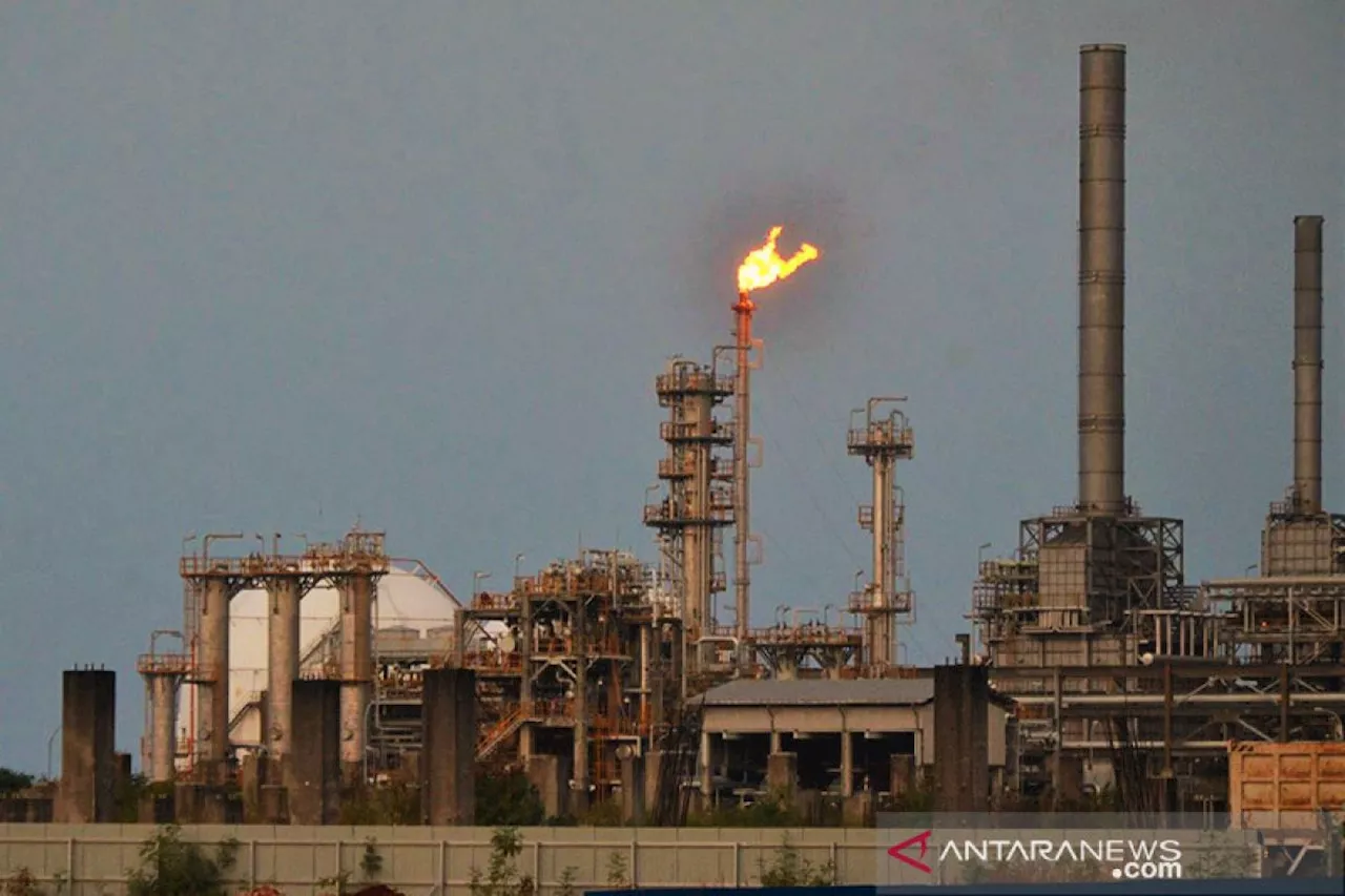 Apindo: Industri petrokimia perlu kebijakan yang menarik investor