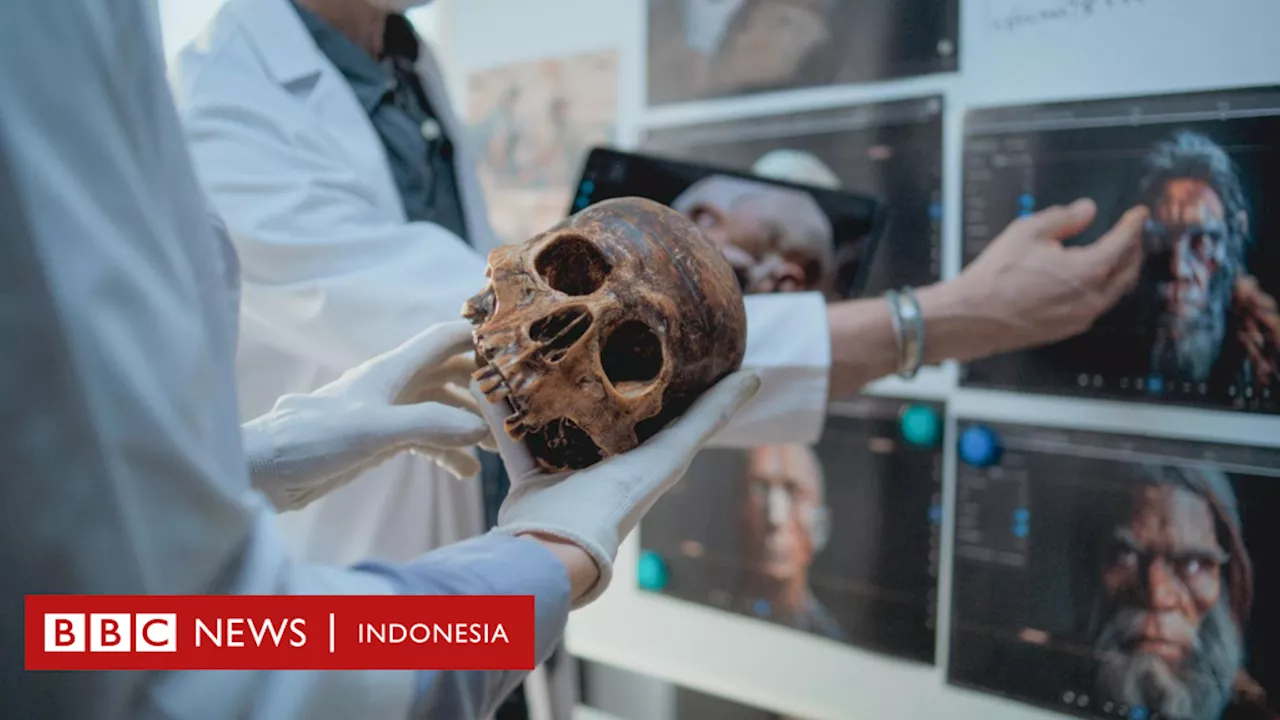 Manusia purba: Manusia mungkin punah bila tidak kawin silang dengan Neanderthal