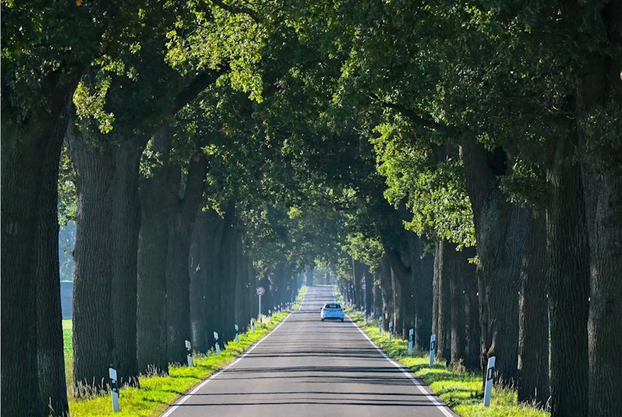 Ostdeutsche Auto-Industrie: Folgt jetzt die Trendwende?