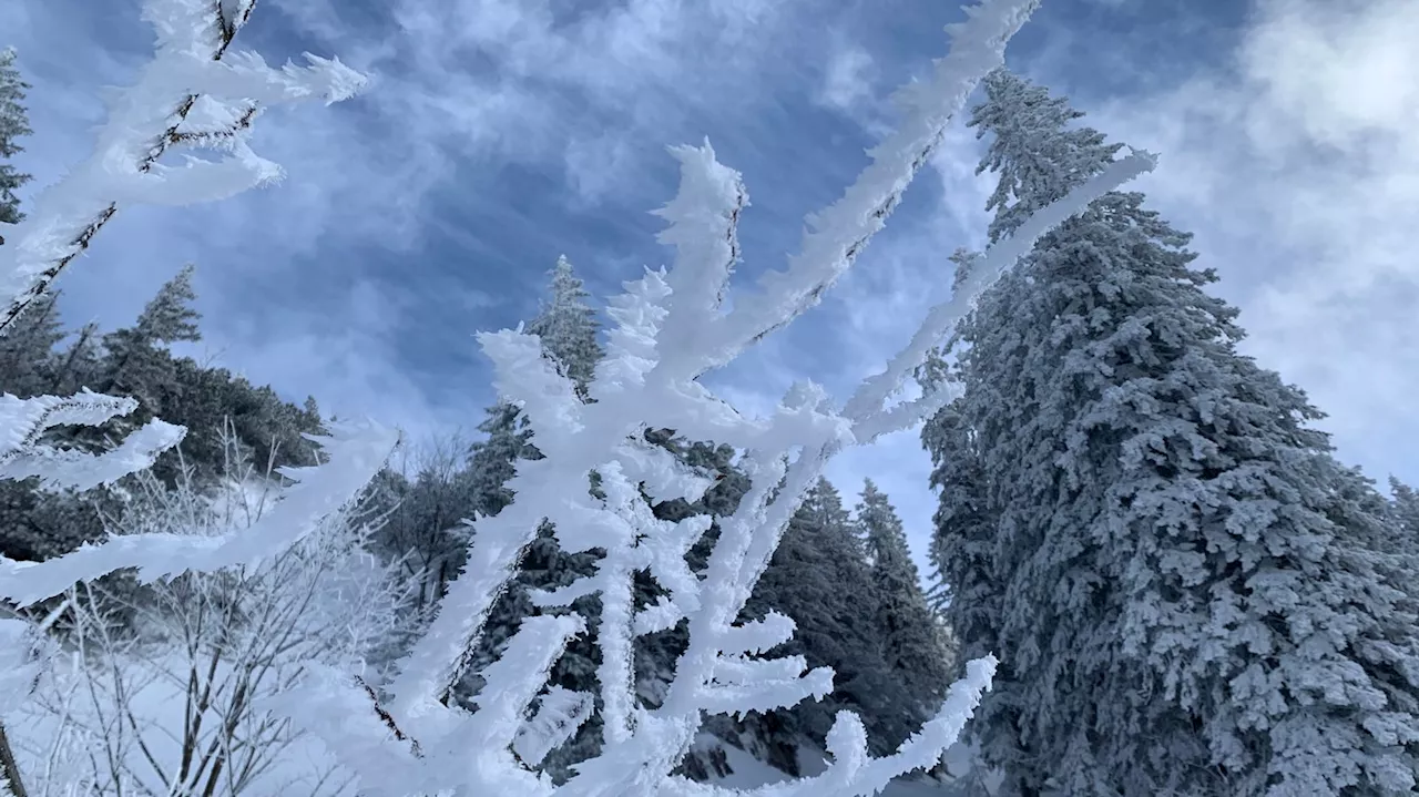 Viel Neuschnee in den Alpen, steigende Lawinengefahr