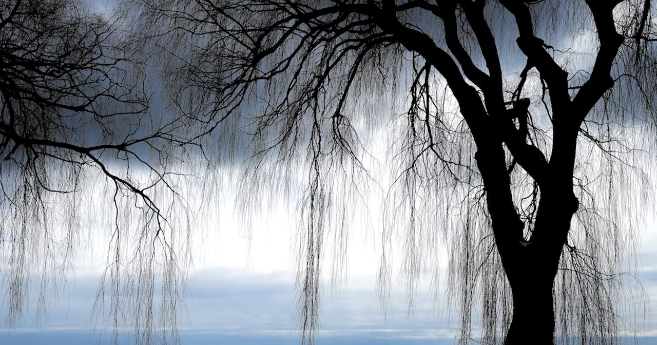 Cold in Toronto could feel like -22 with the wind chill Sunday morning