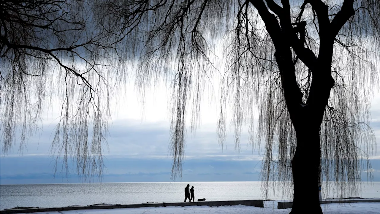 Cold in Toronto feels like -25 with the wind chill Sunday morning