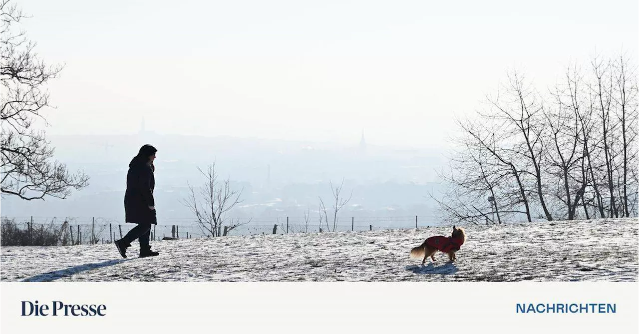 Weiße Weihnachten? Teils ergiebiger Schneefall am Heiligen Abend