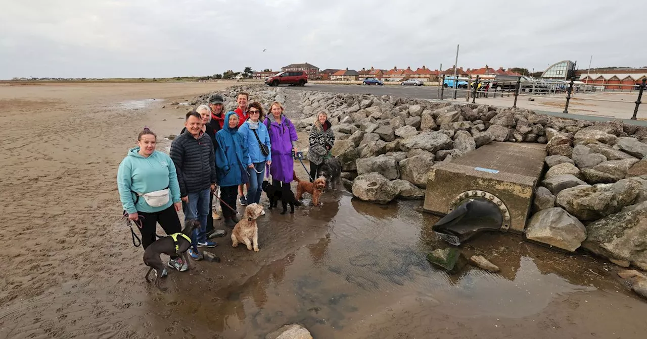 Black liquid is oozing onto a Merseyside beach and nobody knows what it is