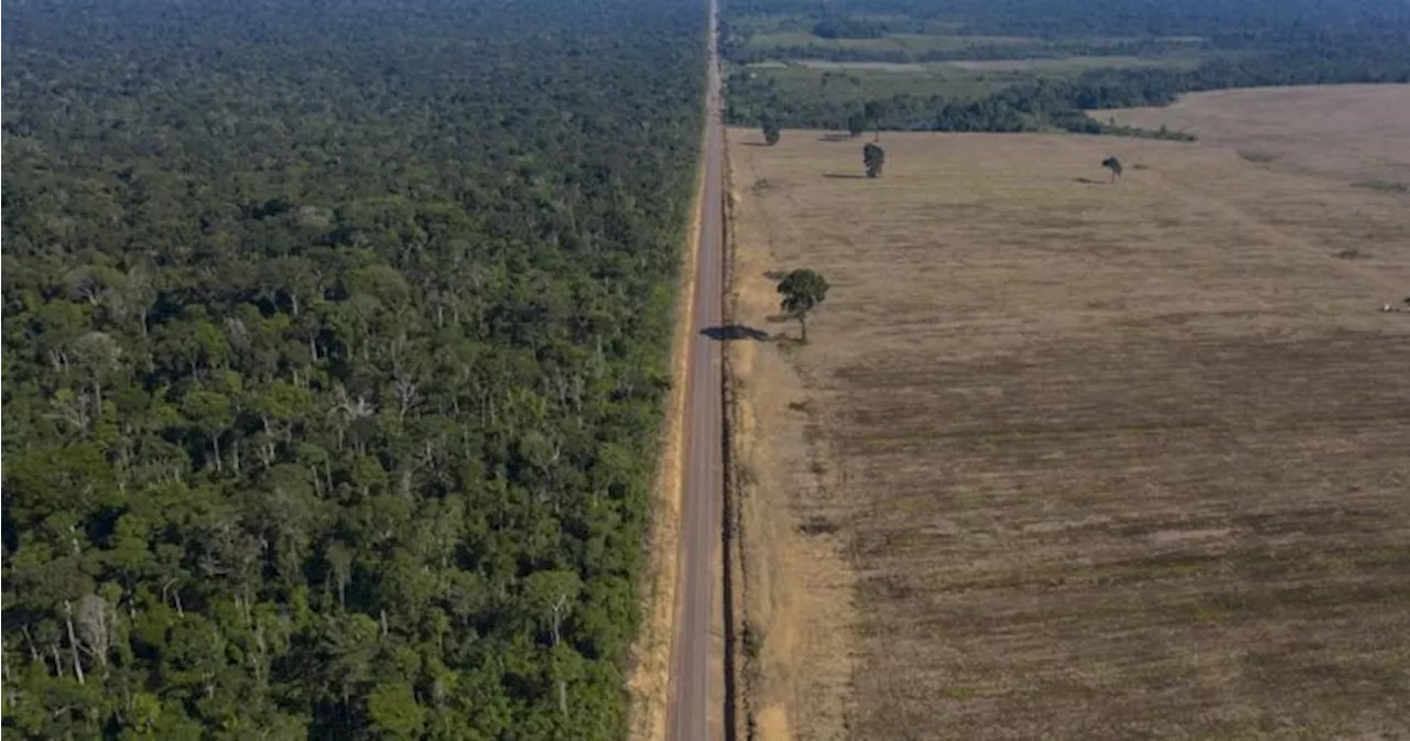 38 people die in a crash between a passenger bus and a truck in Brazil