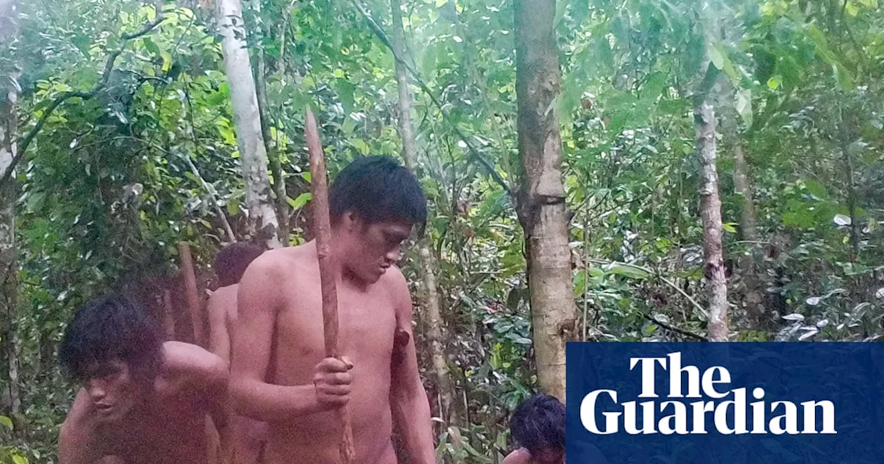 New images show Brazil’s uncontacted people are thriving – but with success comes a new threat