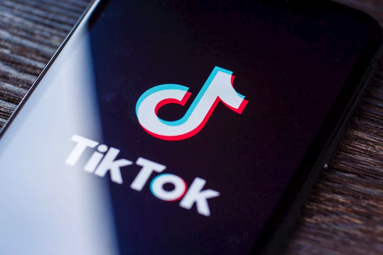 Albanien will Zugang zu Tiktok für ein Jahr sperren