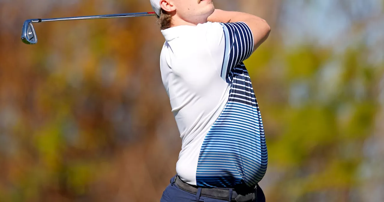 Chip-in off the old block: Harrington and Woods jnrs make first holes in one at PNC Championship