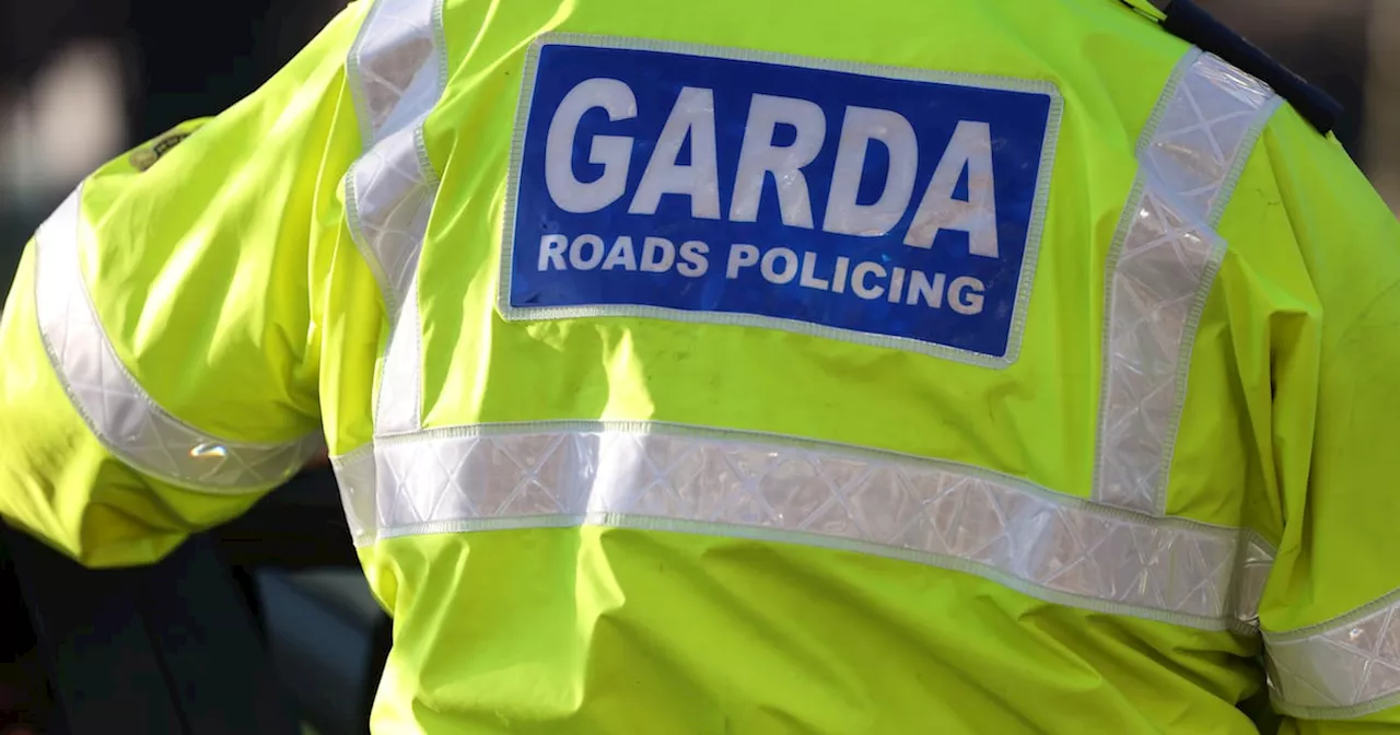 Man seriously injured in Dublin hit-and-run