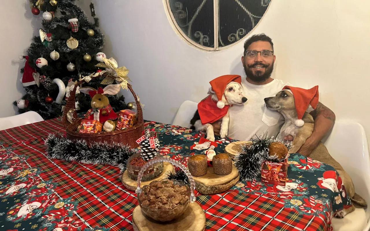 Ceia de natal pet: o que eles podem comer para entrar no clima natalino