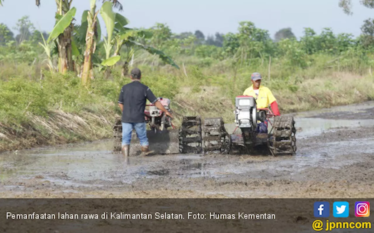 Pemprov Kalsel Siapkan 41.829 Hektare Untuk Optimalisasi Lahan Rawa