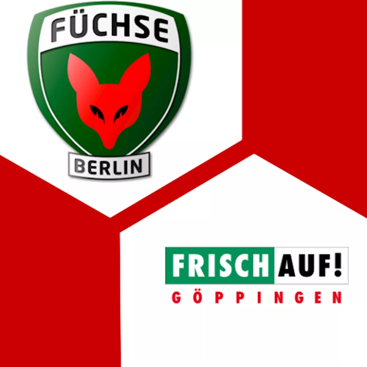 Frisch Auf Göppingen : | 16. Spieltag