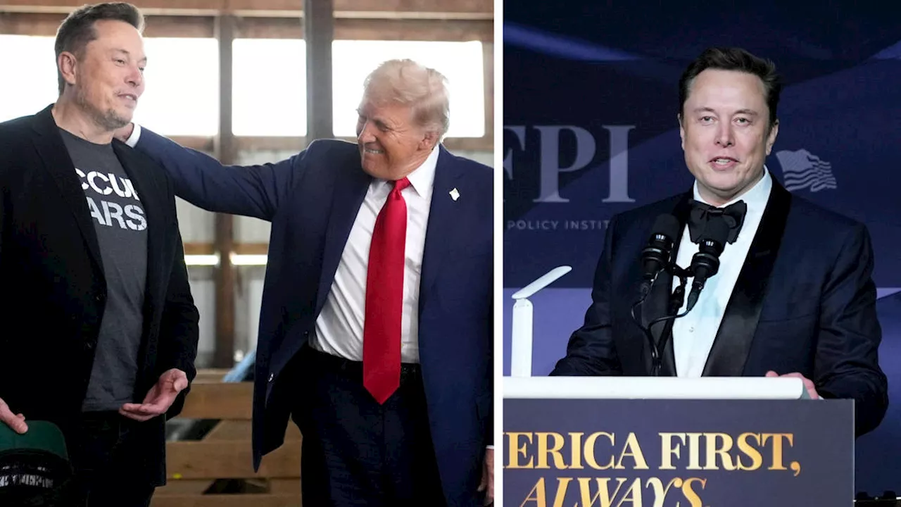 Trump jokes about Elon Musk becoming President after Democrats took aim at Tesla founder's influence