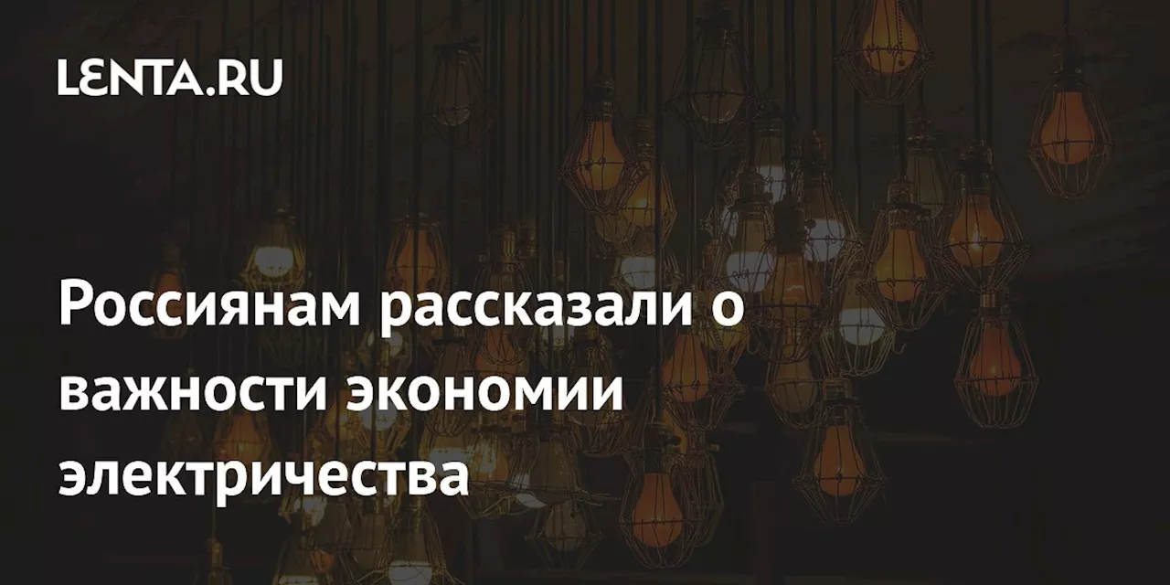 Россиянам рассказали о важности экономии электричества